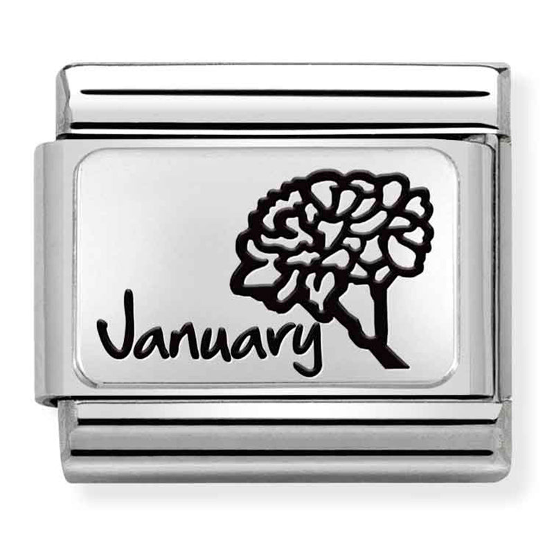 Silver January Link