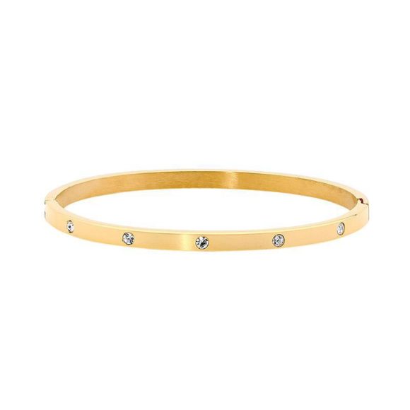 Ellani S/Steel G/P, 4mm Hinge Steel, WH CZ x5